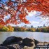 Foliage a Central Park: itinerari tra le foglie d’autunno di New York