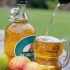Viaggio in Inghilterra sulle strade del Sidro: i festival autunnali dedicati all’avo della birra