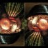Arcimboldo in mostra a Palazzo Reale di Milano dal 10 febbraio al 22 maggio