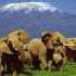 Kenya, in viaggio nell’Africa degli scrittori