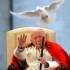 Beatificazione di Giovanni Paolo II: il programma