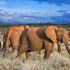 Kenya: clima, documenti e lingua
