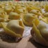 Romagna piatti tipici: i cappelletti