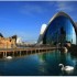 Oceanografic di Valencia l’acquario più grande d’Europa