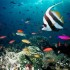 Immersioni:  la classifica dei posti più belli del mondo