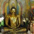 Viaggio nello Sri Lanka: escursioni da non perdere