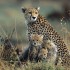 Settembre in Kenya a prezzi scontati