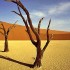 Namibia: offerta viaggio e tour per chi ha pochi giorni a disposizione