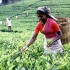 Sri Lanka: come vestirsi durante il viaggio