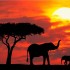 Viaggio in Kenya: vaccinazioni necessarie e sicurezza