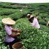 Il clima della Cina: qual è il periodo migliore per partire?