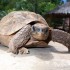 Hotel in Madagascar: quali scegliere?