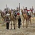 India, Gujarat: cosa comprare?