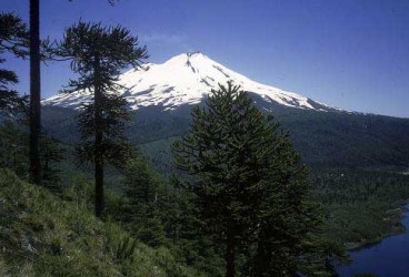 Cile: quando andare ad Araucania