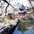 Seul: quando andare in Corea del Sud?