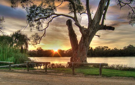 Natura e avventua in Australia: Mildura & Murray Outback