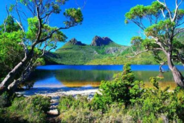 Un viaggio tra le acque della Tasmania in Australia per una immersione a Golden Bommies
