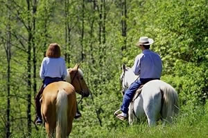 A cavallo nel Parco Naturale Montemarcello Magra a Sarzana (La Spezia) in Liguria