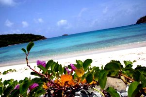 Viaggio di nozze alle Isole Vergini Americane nel mar dei Caraibi: St. Croix, St. Jonh, St. Thomas, Water Island