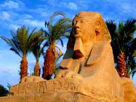Offerte Viaggi Egitto Gennaio-Febbraio 2009: Crociera sul Nilo, Sharm El Sheikh, Marsa Alam