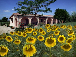 agriturismo-in-emilia-romagna-una-nuova-legge-regionale-per-il-turismo-rurale-di-eccellenza.jpg