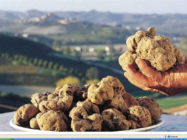 fiera-internazionale-del-tartufo-bianco-dal-3-ottobre-all-8-novembre-ad-alba-cuneo.jpg